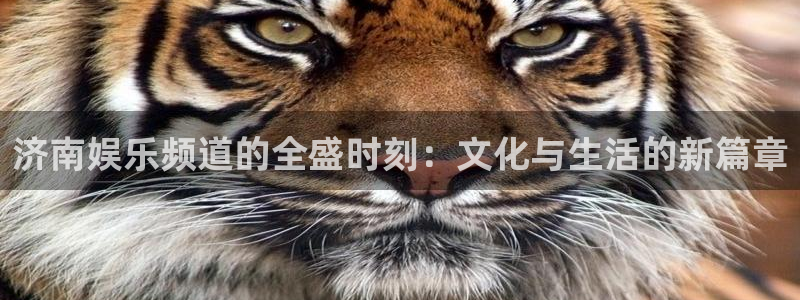 豪门国际86687：济南娱乐频道的全盛时刻：文化与生活的新篇章