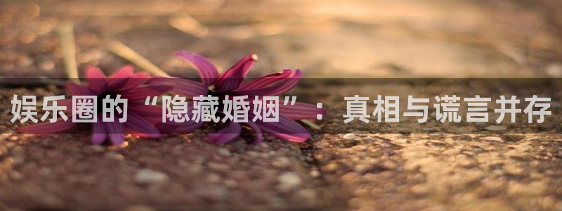 豪门国际下载：娱乐圈的“隐藏婚姻”：真相与谎言并存