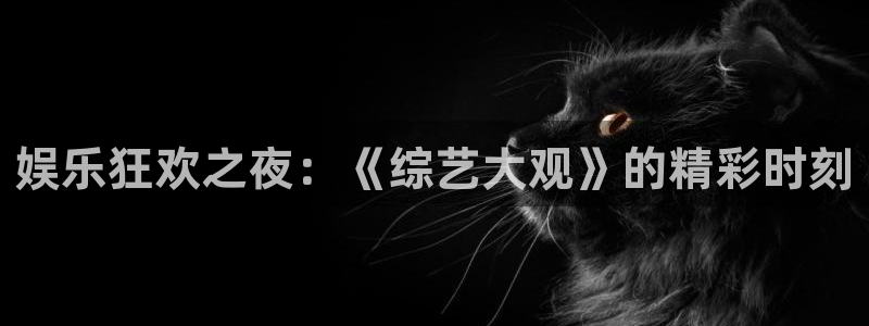 豪门国际pg：娱乐狂欢之夜：《综艺大观》的精彩时刻