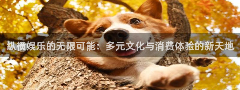 豪门国际app下载地址：纵横娱乐的无限可能：多元文化与消费体验的新天地