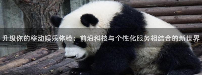 豪门国际是什么平台：升级你的移动娱乐体验：前沿科技与个性化服务相结合的新世界