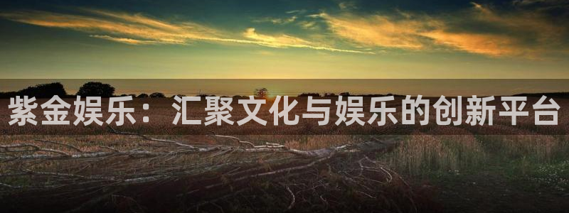 萍乡豪门国际大酒店：紫金娱乐：汇聚文化与娱乐的创新平台