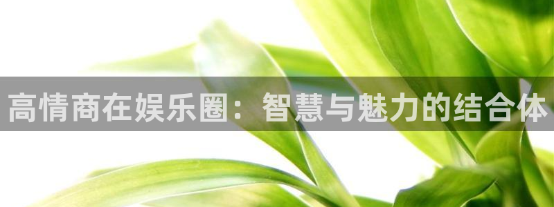 宁波豪门国际水会：高情商在娱乐圈：智慧与魅力的结合体