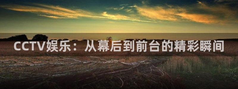 豪门国际酒店：CCTV娱乐：从幕后到前台的精彩瞬间