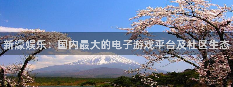 豪门国际：新濠娱乐：国内最大的电子游戏平台及社区生态