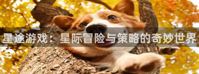 豪门国际链接：星途游戏：星际冒险与策略的奇妙世界
